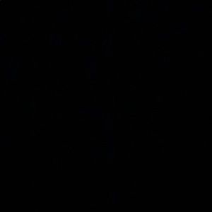 Meet your Posher, Amelia